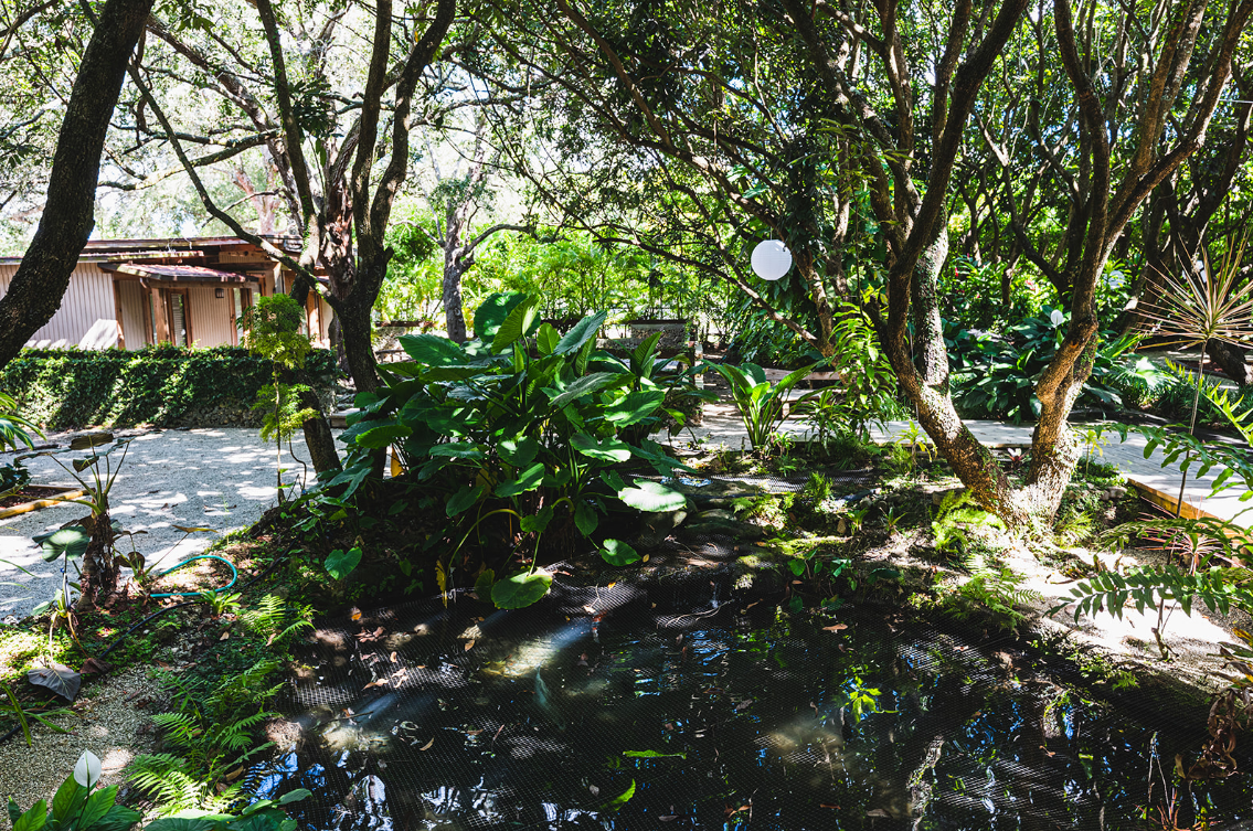 Koi Pond Design Hialeah