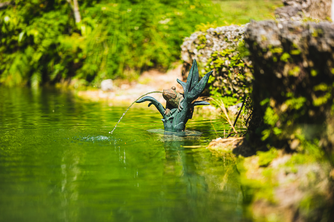 Koi Pond Design South Florida